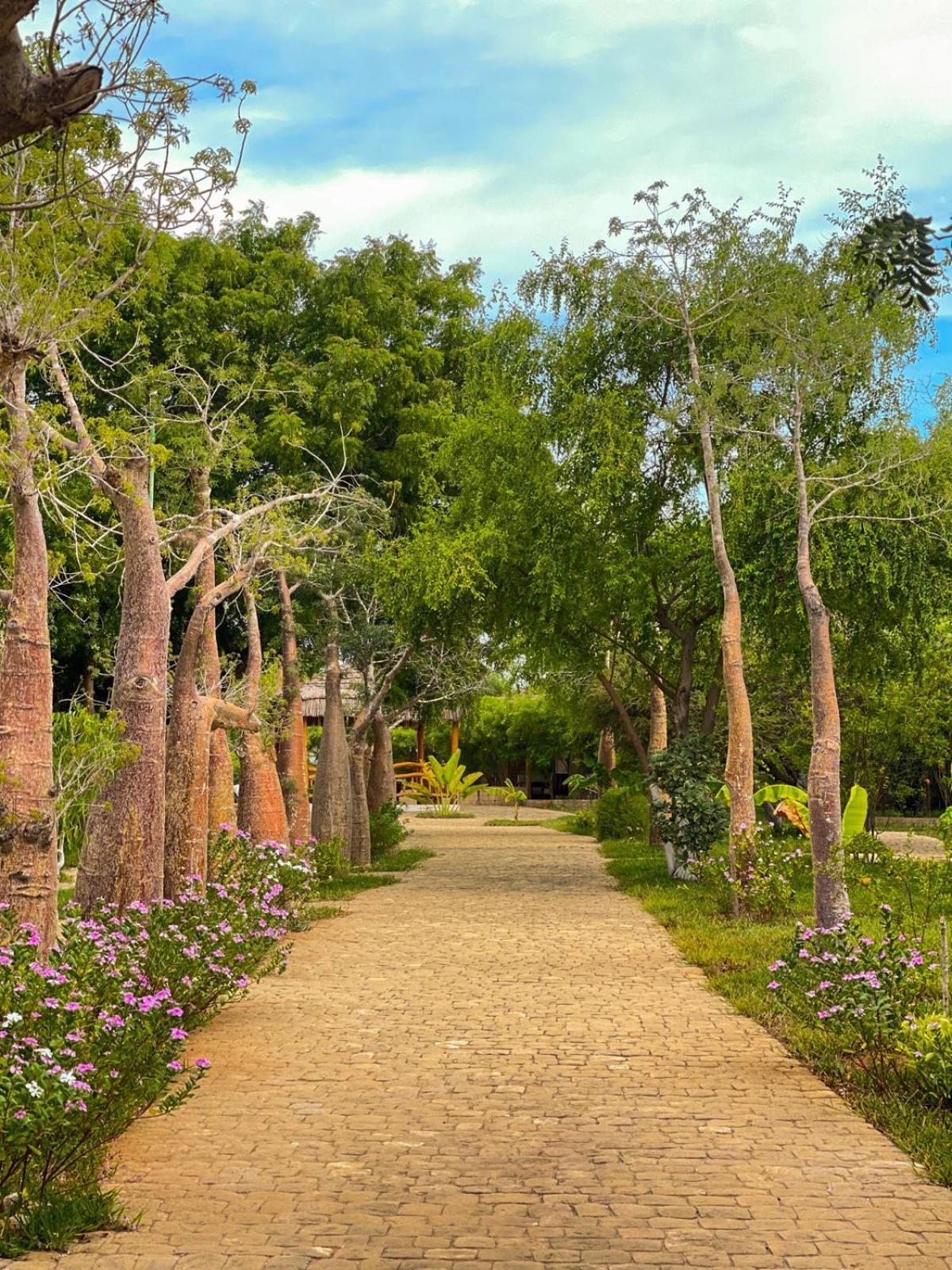 Vovo Telo Lodge Toliara Eksteriør billede